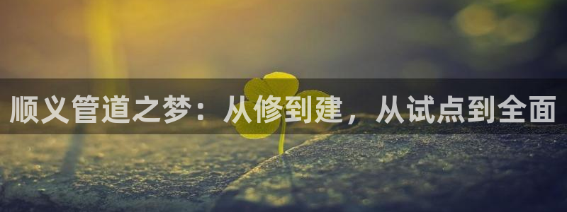 球盟会登录网址