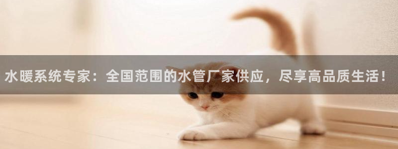 球盟会进不去球员吗