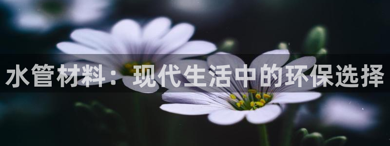 球盟会app最新地址在哪里