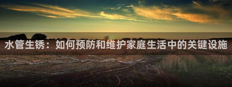 球盟会app最新地址下载