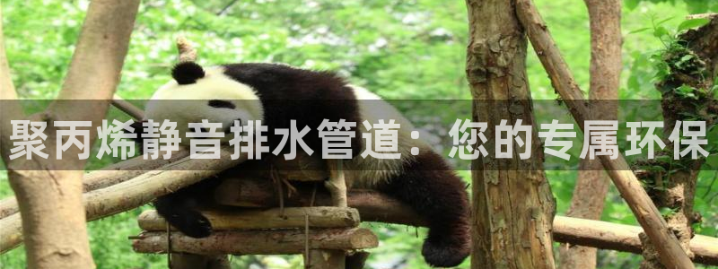 球盟会app最新地址在哪看