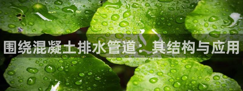 球盟会在线登录官网
