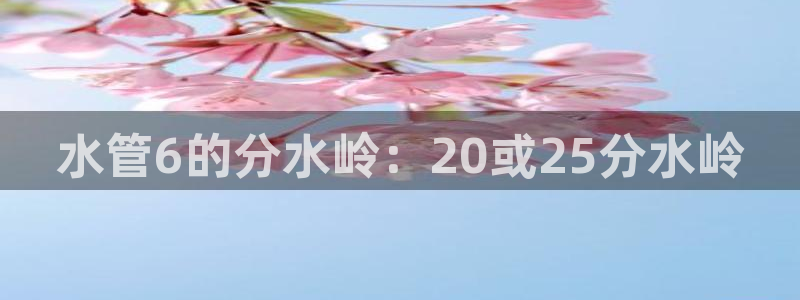 球盟会中国网页登录