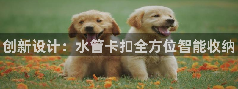 球盟会官方app首页入口