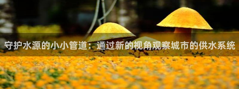 球盟会app手机登录