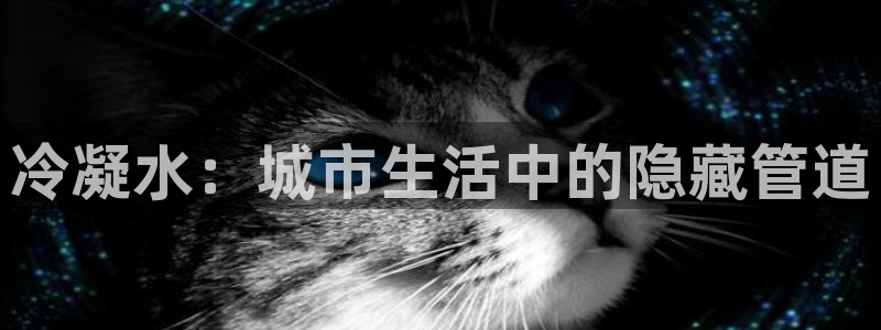 球盟会优惠领取网站是真的吗