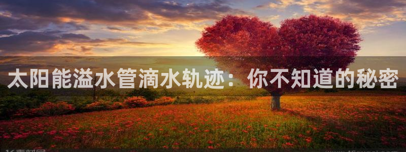 球盟会登录平台