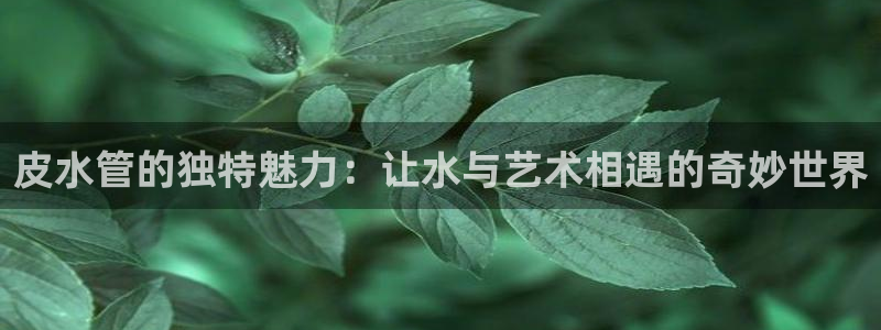 球盟会官网入口